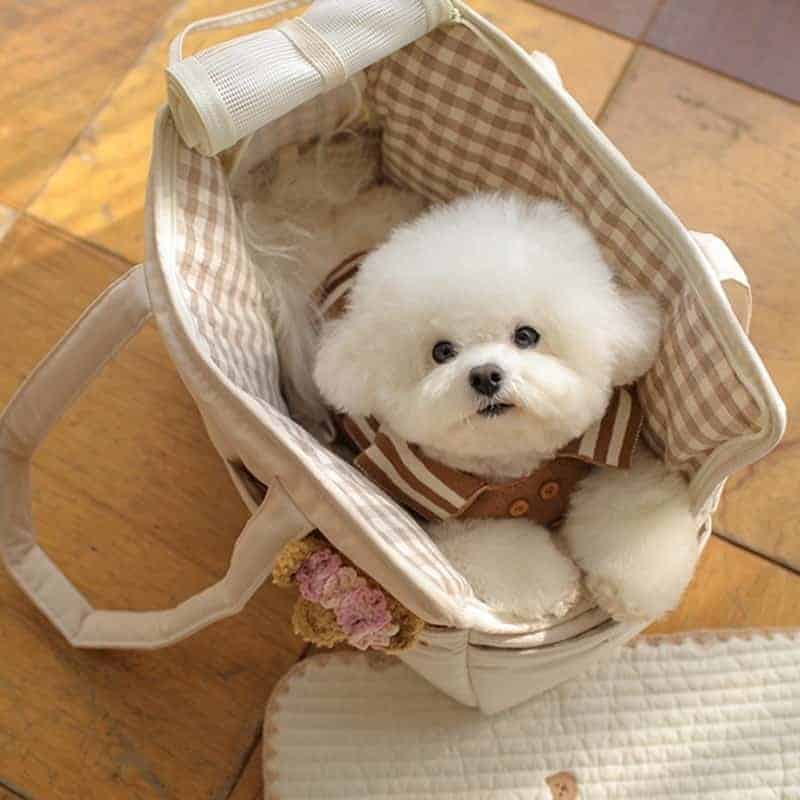 Beige axelremsväska med matta för liten hund