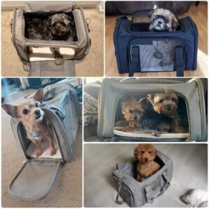 Mjukt och luftigt bärsele för hund