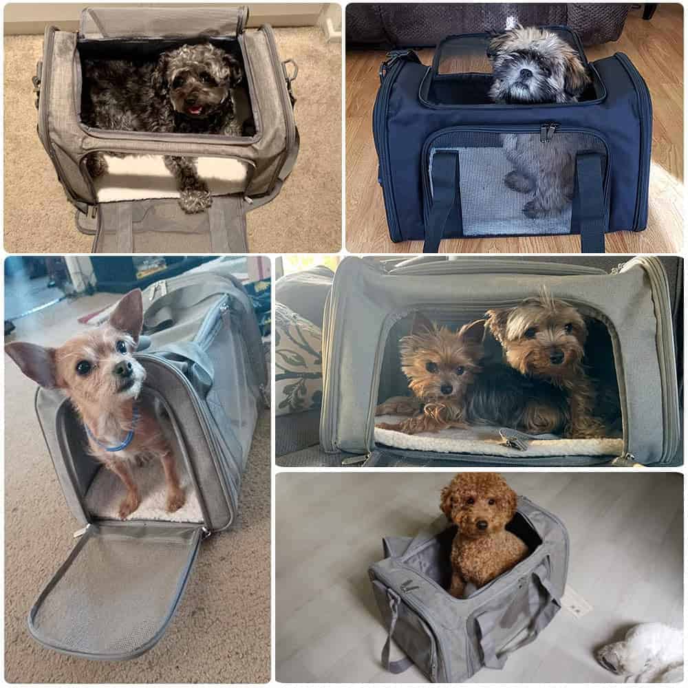 Mjukt och luftigt bärsele för hund